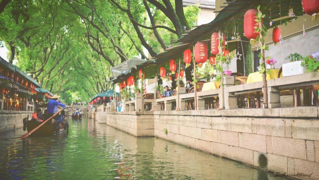 小恐龙来找茬